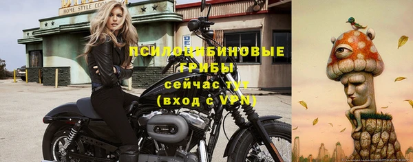соль ск Балабаново