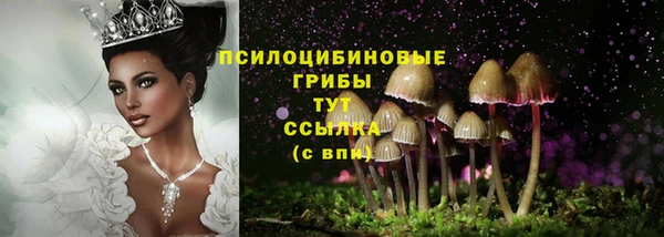 соль ск Балабаново